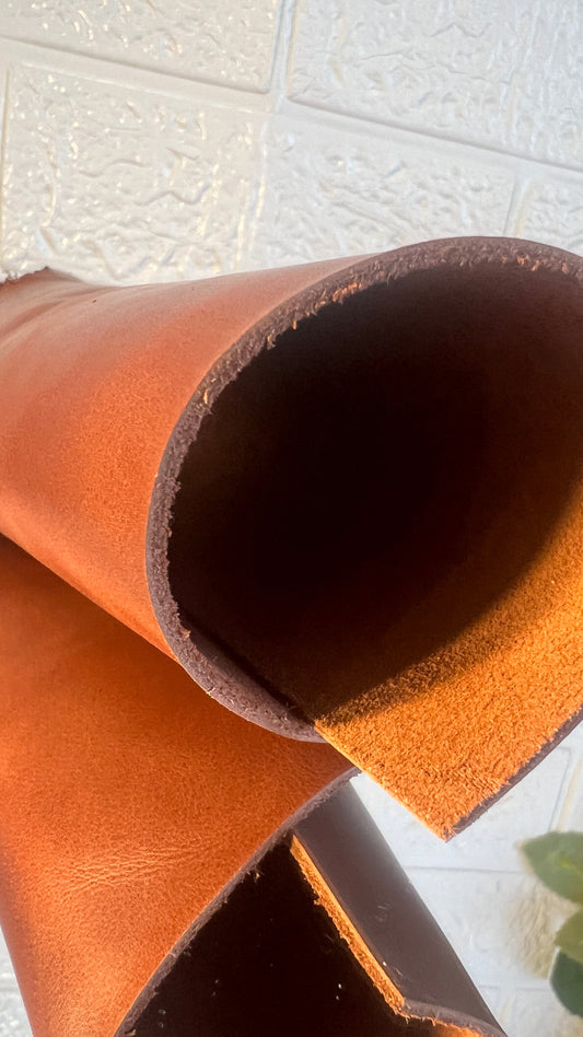 Sabias que…? Factos Sobre o Couro Verdadeiro