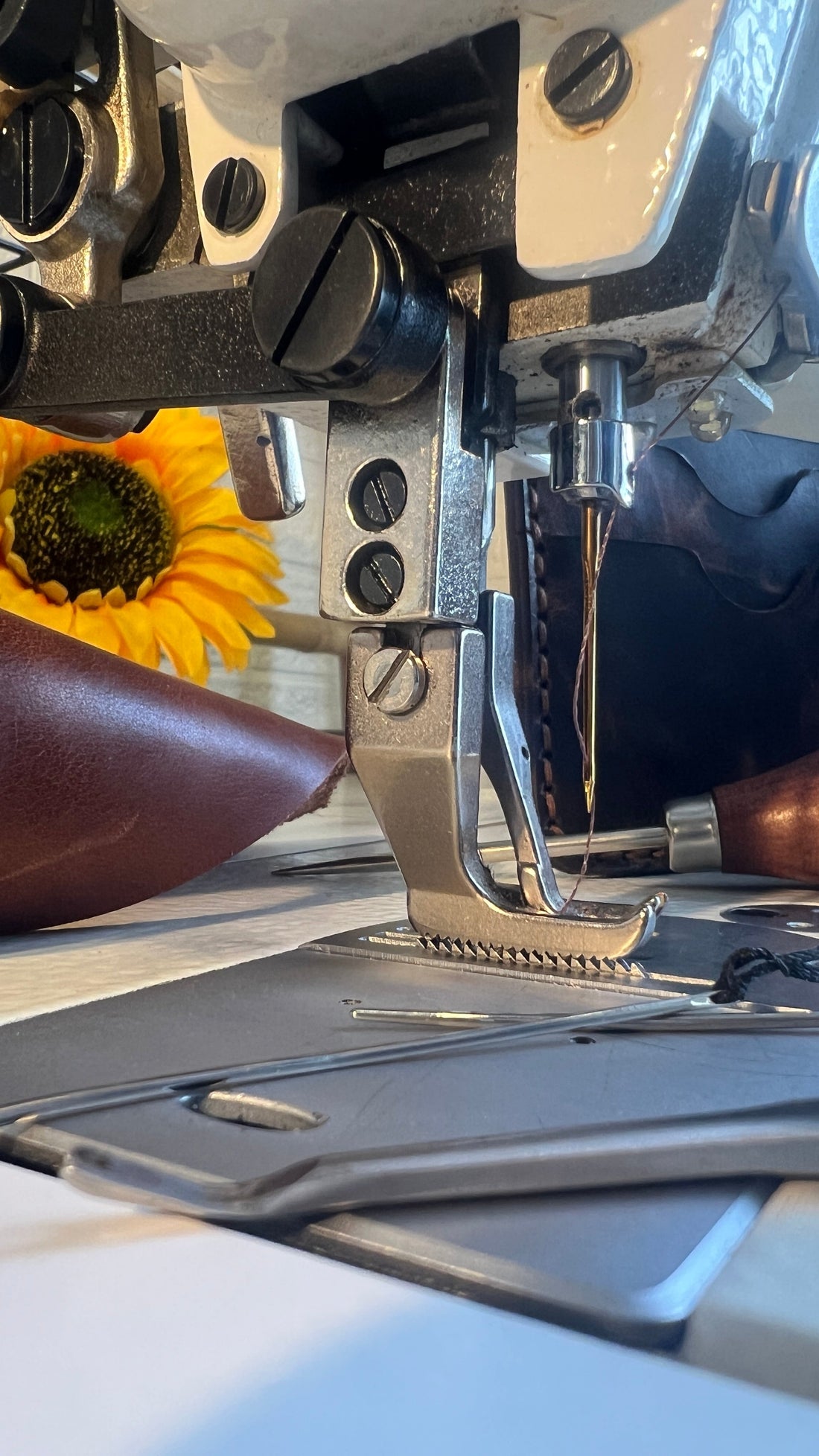 Couro com Alma: Como Escolher, Reconhecer e Preservar uma Peça Artesanal